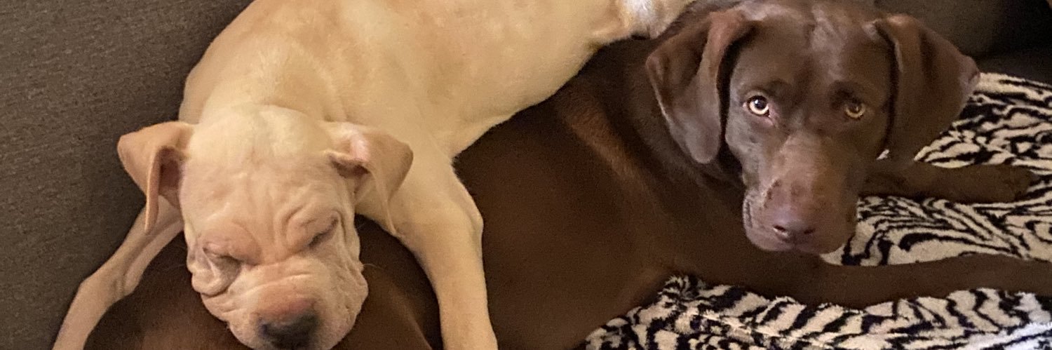 Sierra Kidd M.Ed. banner