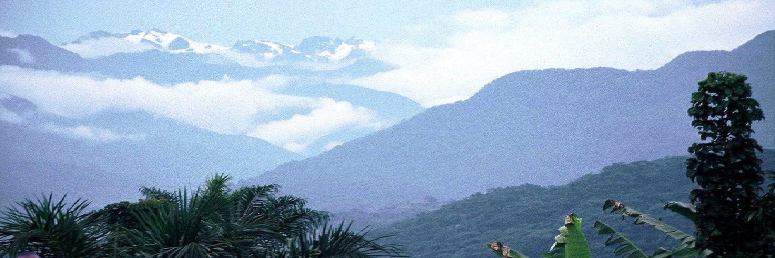 Boniface Musavuli banner