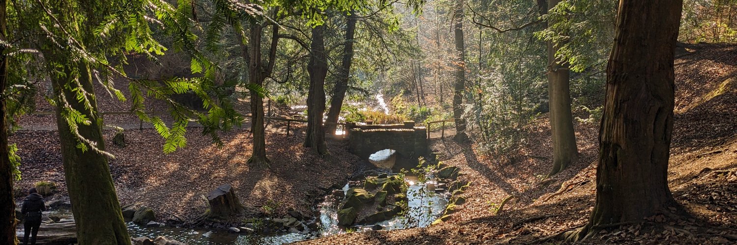 Ben Pollinger banner