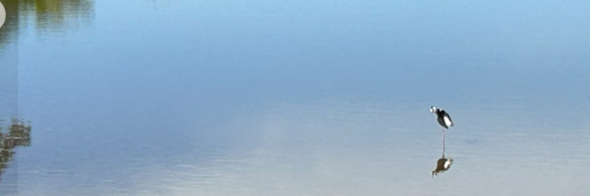 milton_r's profile banner image