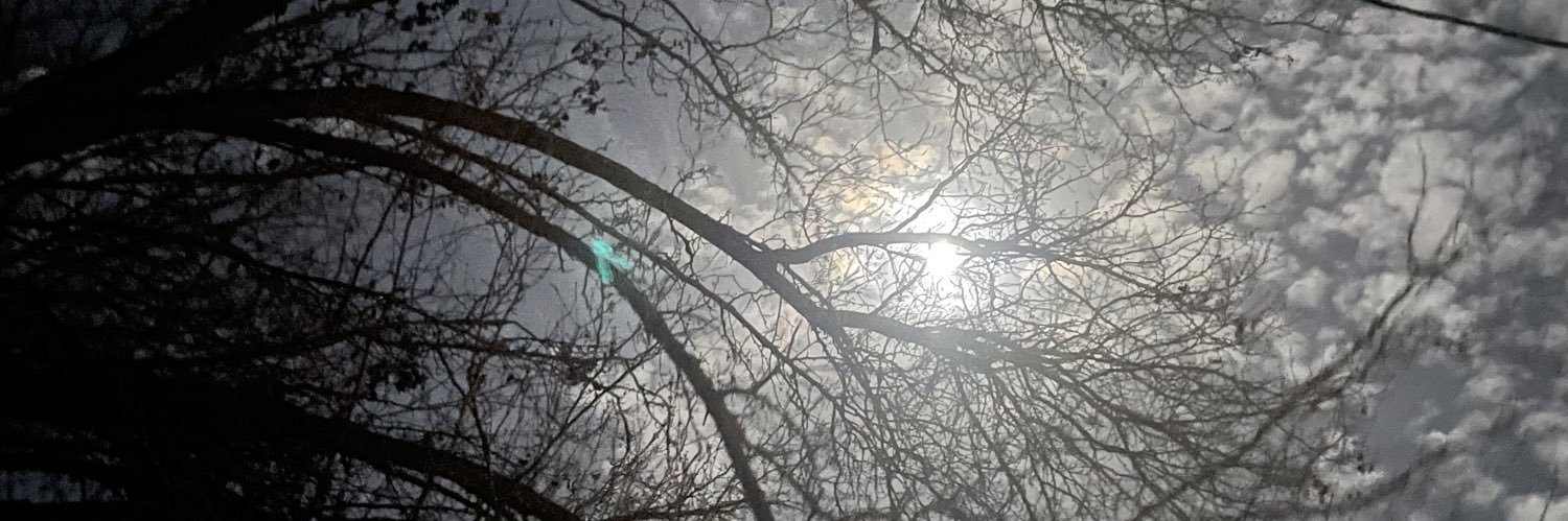 BrilliantOne's profile banner image