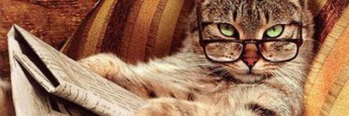 selim_bs's profile banner image