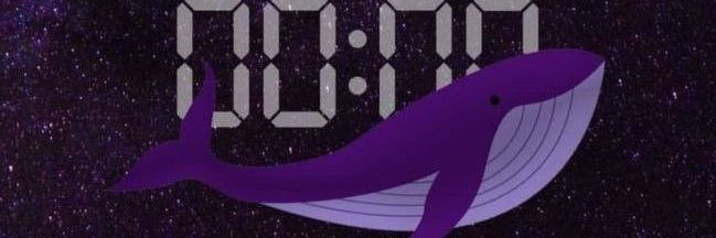 Kam_Alves's profile banner image
