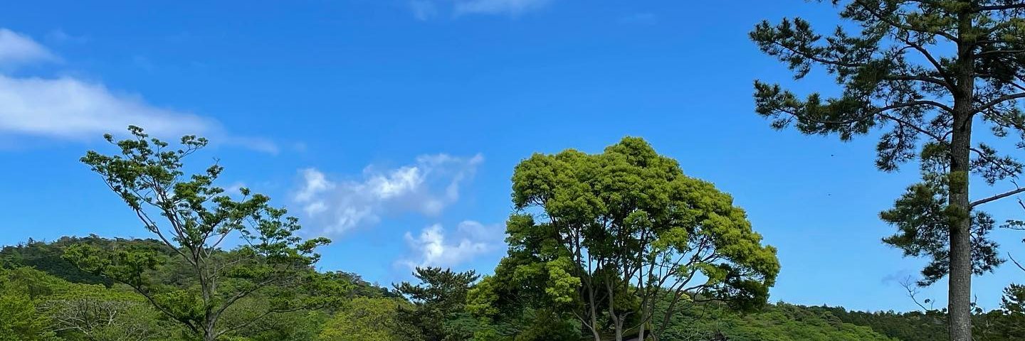 prettyblossom70's profile banner image
