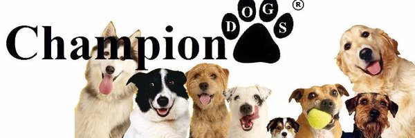 dogs Profile Banner