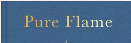 Michelle Orange banner