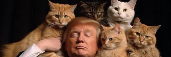 PragmaticMaemae Profile Banner