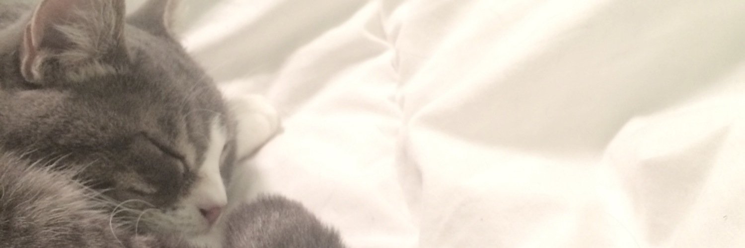kelseynug's profile banner image
