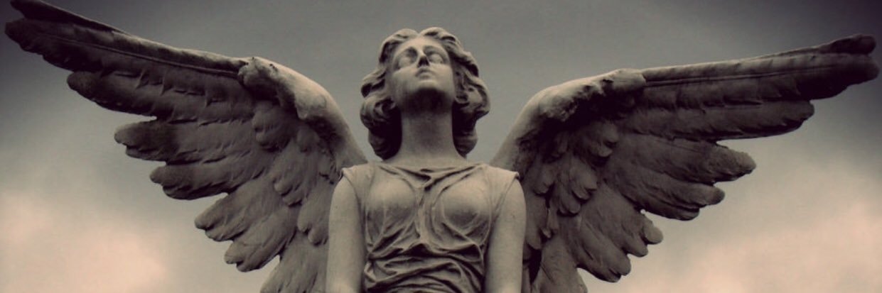 eveyh05's profile banner image