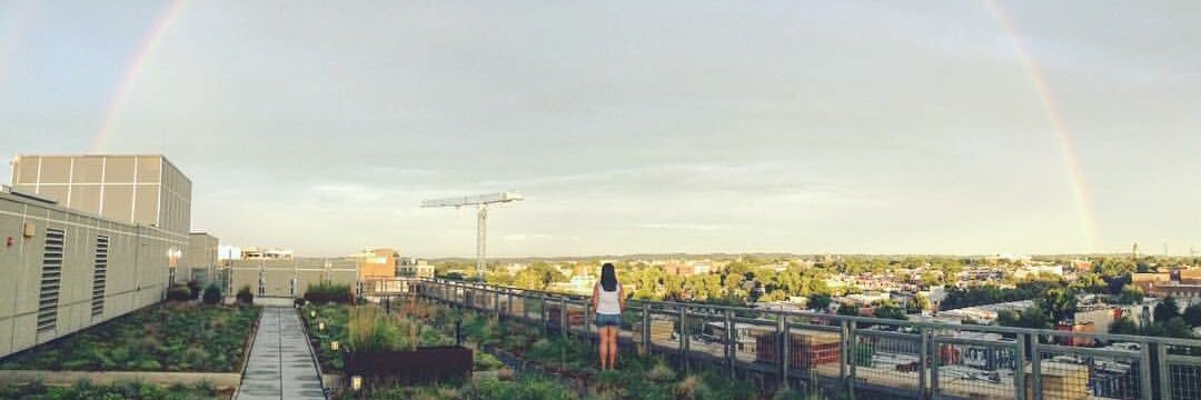 andrea_ack's profile banner image