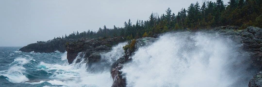 taniapkmay's profile banner image