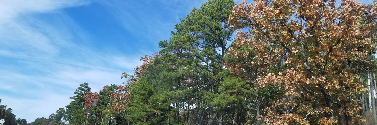 RussW1965's profile banner image