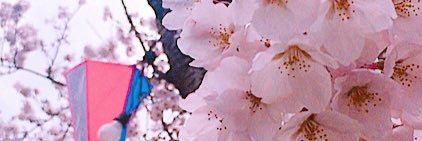 arscym's profile banner image