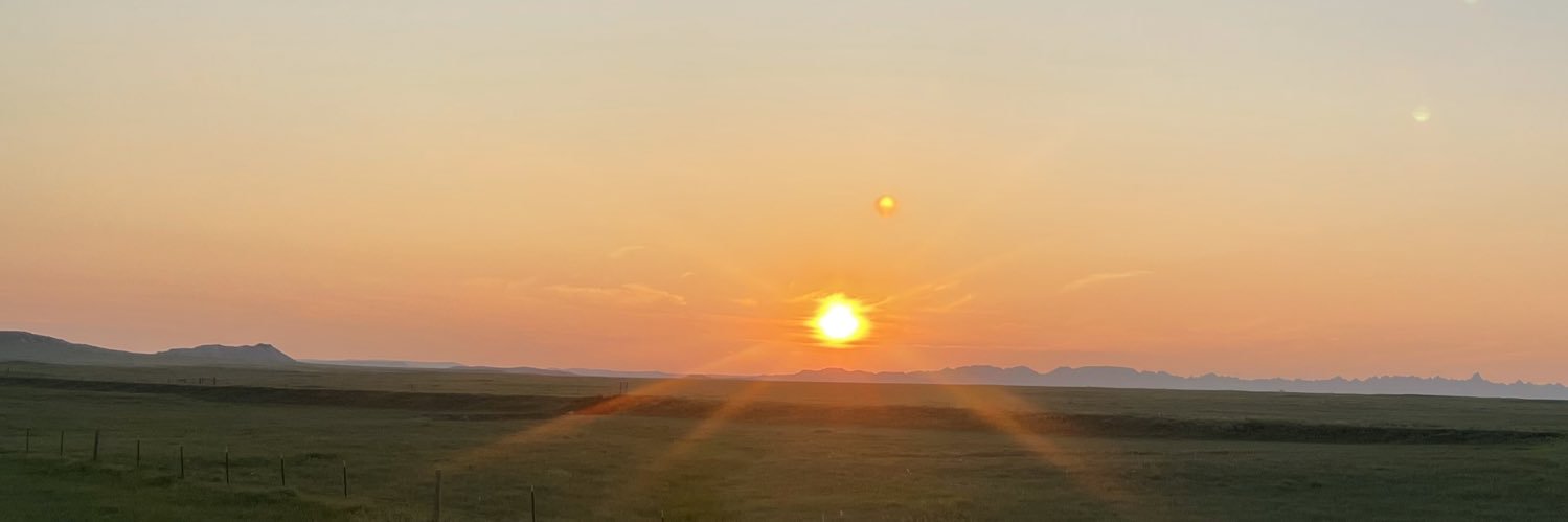 Celeste Kimimila banner