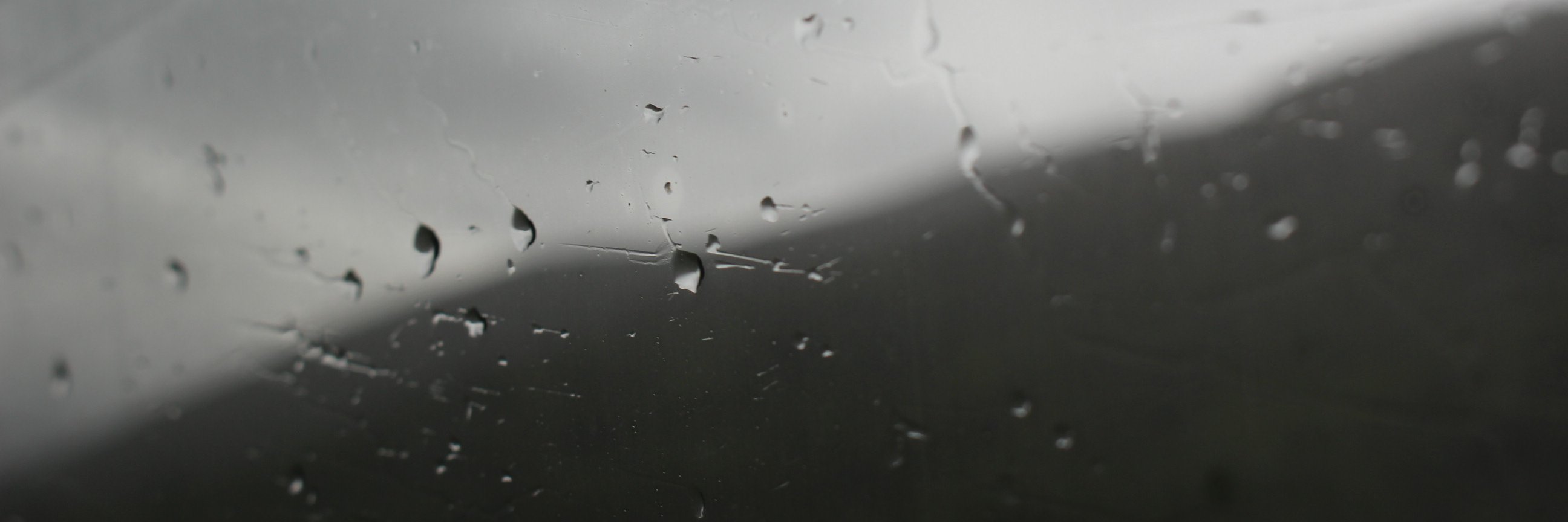 JuliaTejedor's profile banner image