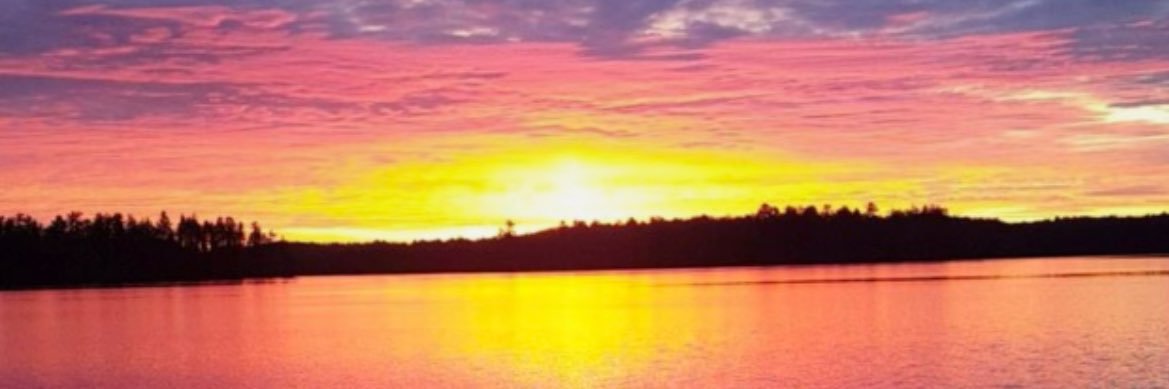 sberg319's profile banner image