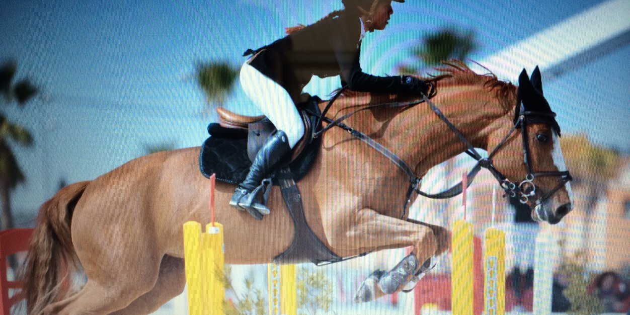 CarCastellvi's profile banner image