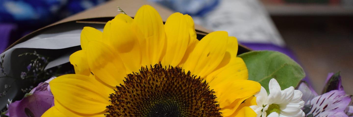 any_ot_'s profile banner image