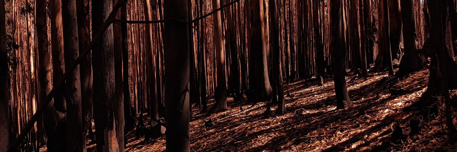 WELKUFE's profile banner image