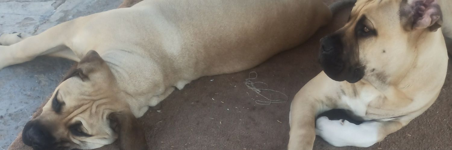 blessedjoe22's profile banner image