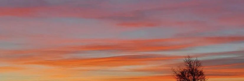 inesmartinfe's profile banner image