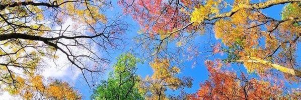 hrlnadevi_'s profile banner image
