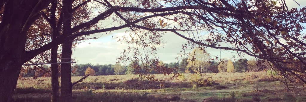 Bensview's profile banner image