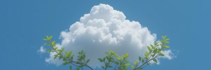 sunsetmylife's profile banner image