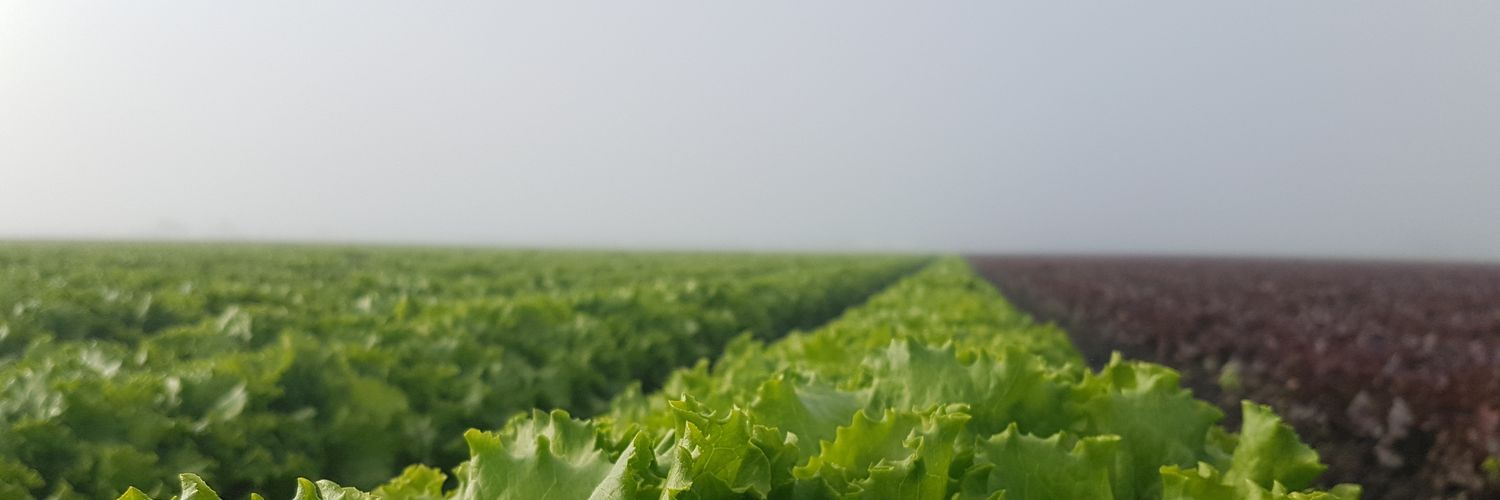 olearman's profile banner image