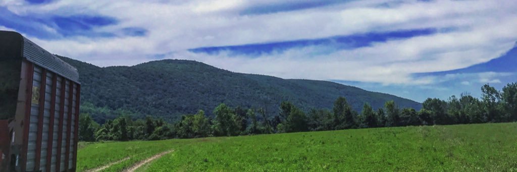 15chelsay's profile banner image