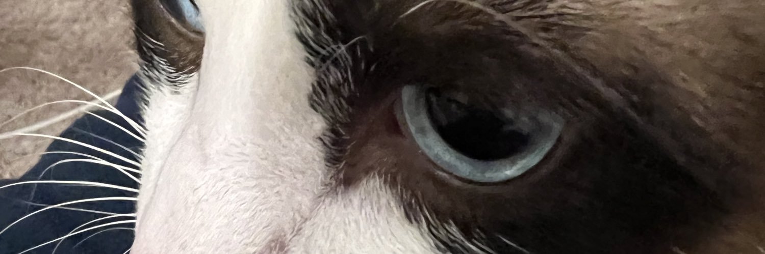 🍅 banner
