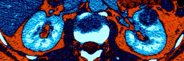 _alelarcher Profile Banner