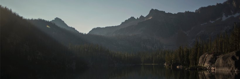 ₳ndrew Wild banner