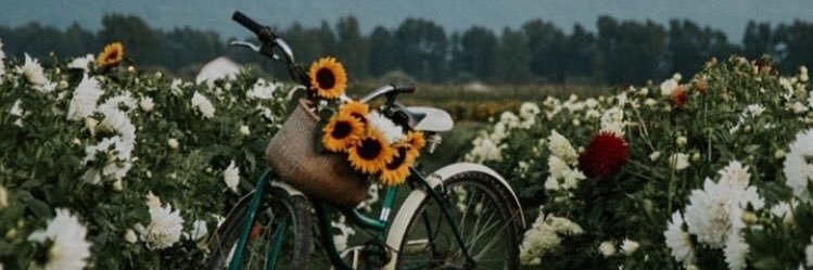 sunflowermakja's profile banner image