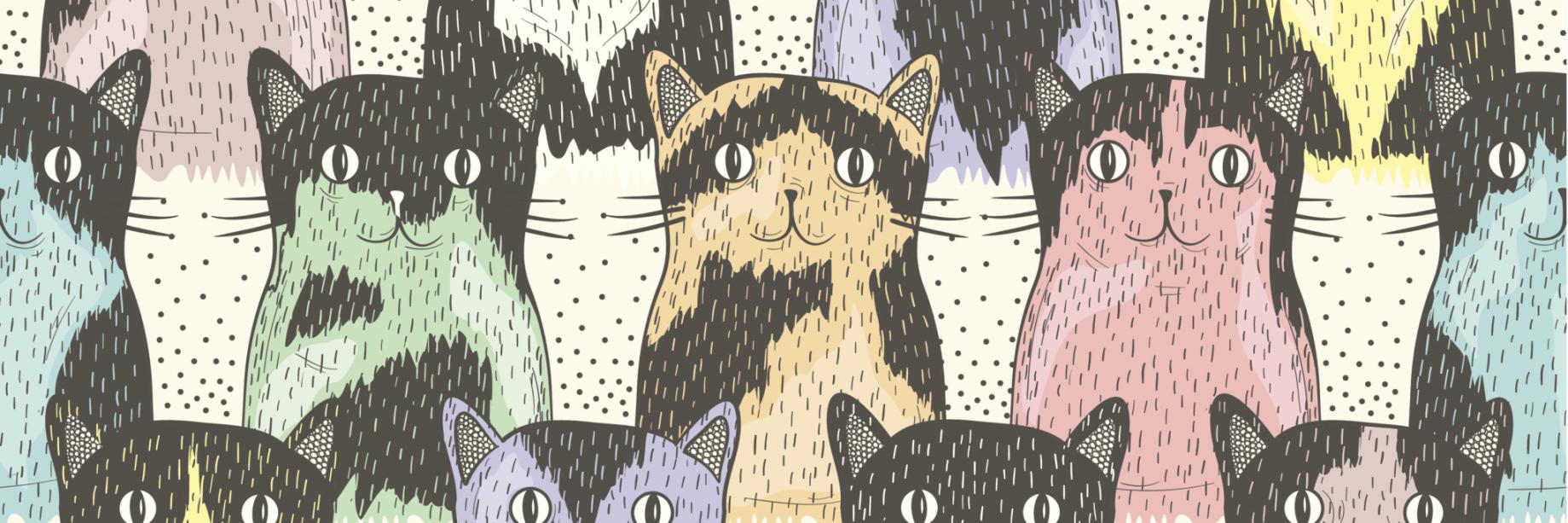 s0manycats's profile banner image