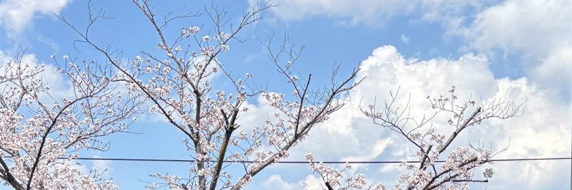 ドンちゃん banner