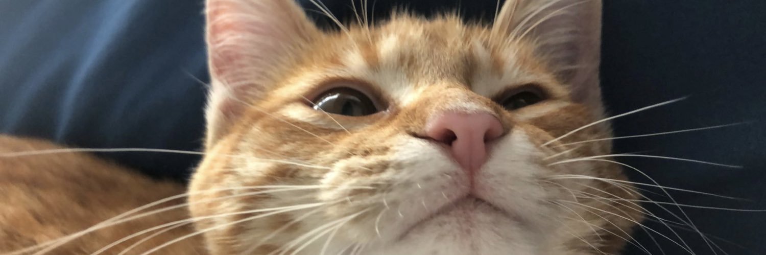 ve_takeute's profile banner image