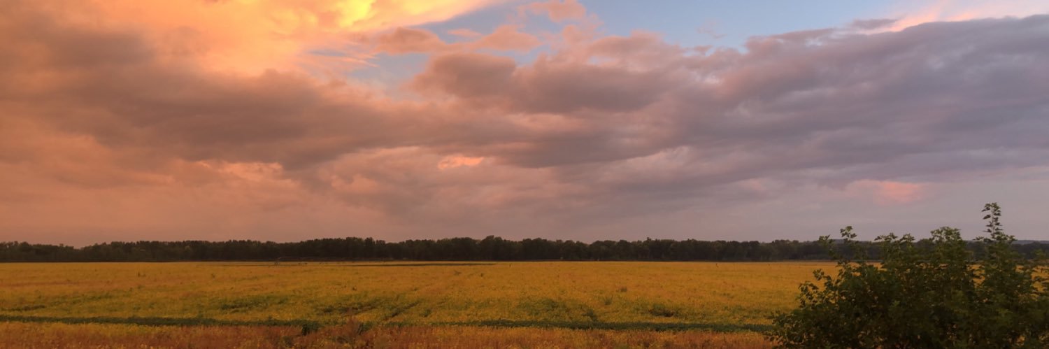 JanaeSchaefer's profile banner image