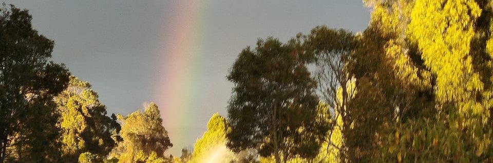 GTautiva's profile banner image