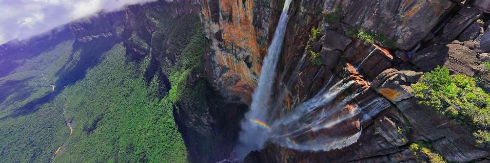 Adriana Rauseo banner