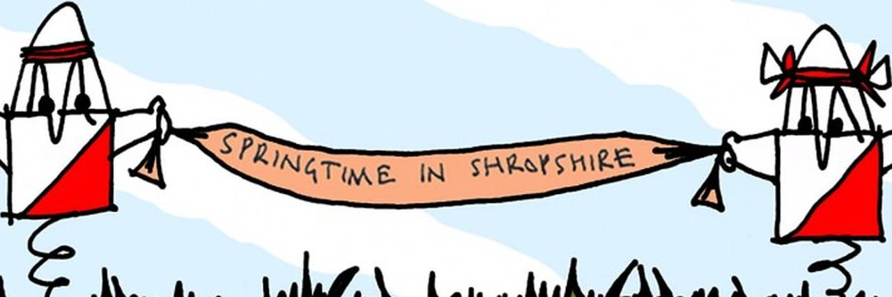 SinS Orienteering banner