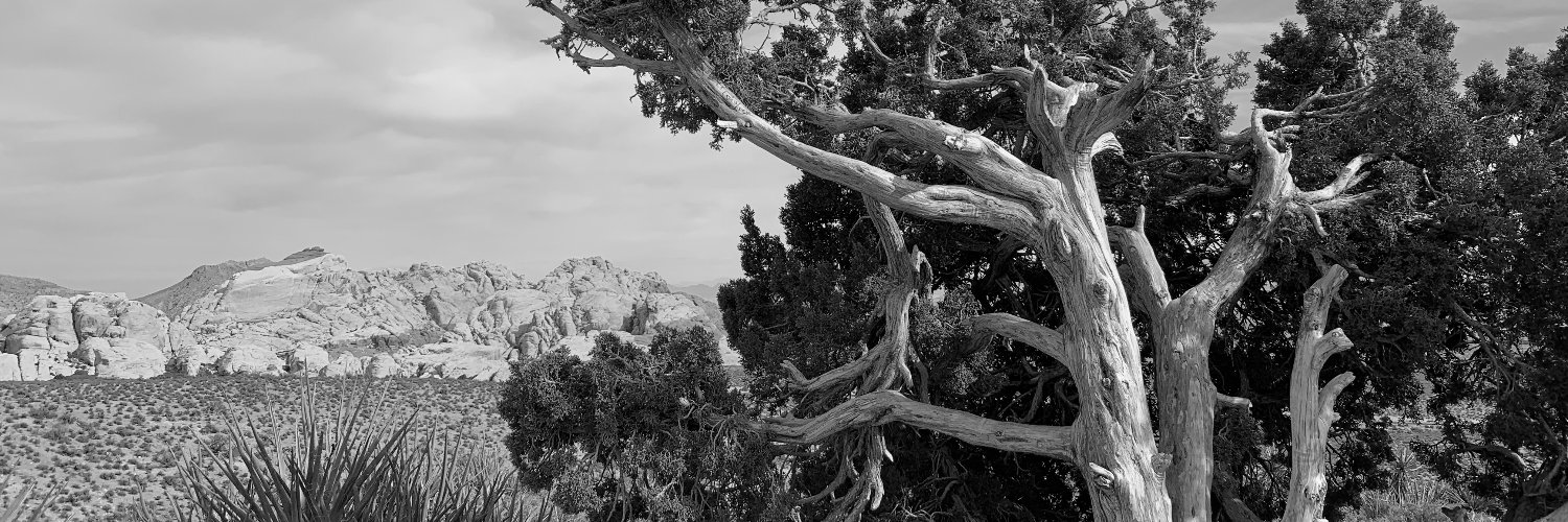 Dr. Jennifer K. Houchins banner