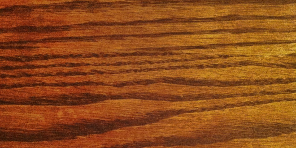 elgalofoto's profile banner image