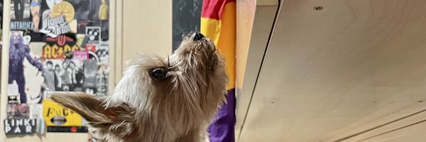 VanDeCuerva Profile Banner