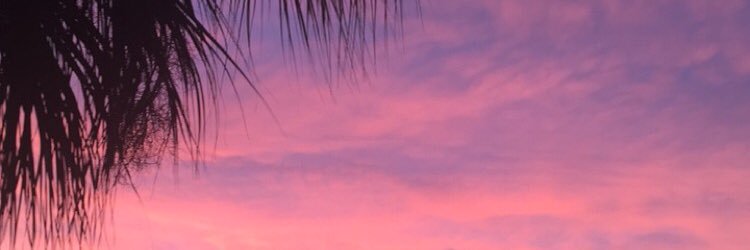 annahscaccia's profile banner image