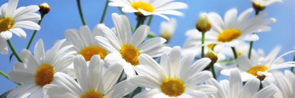 Tracykeane7 Profile Banner