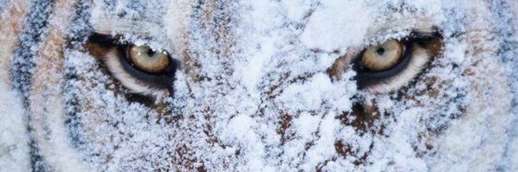 kadirbilginZ's profile banner image