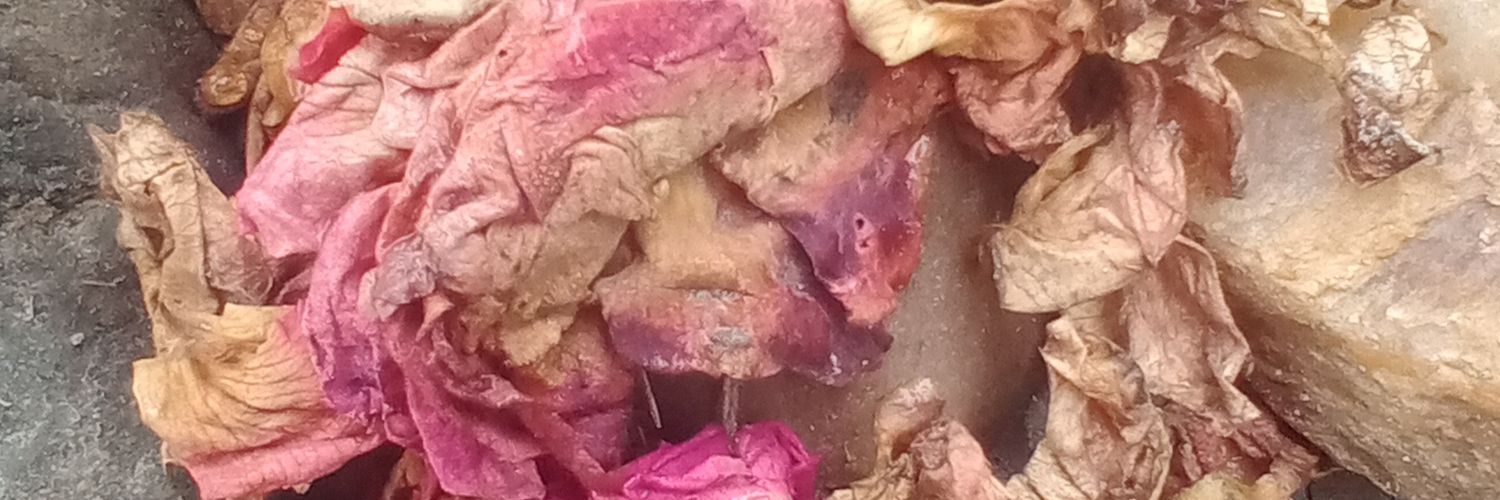 berillicious's profile banner image