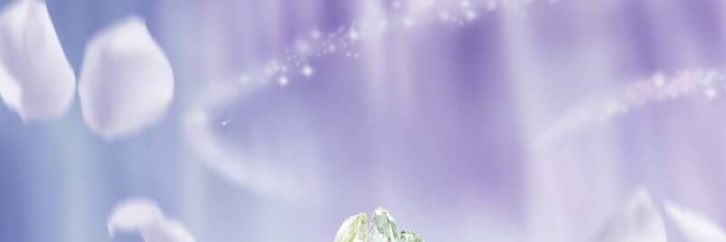 FlowersDear's profile banner image