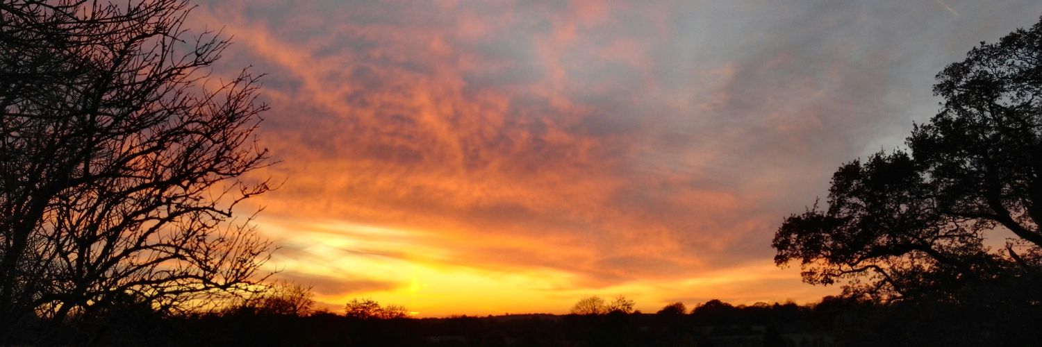 Dave Phillips banner